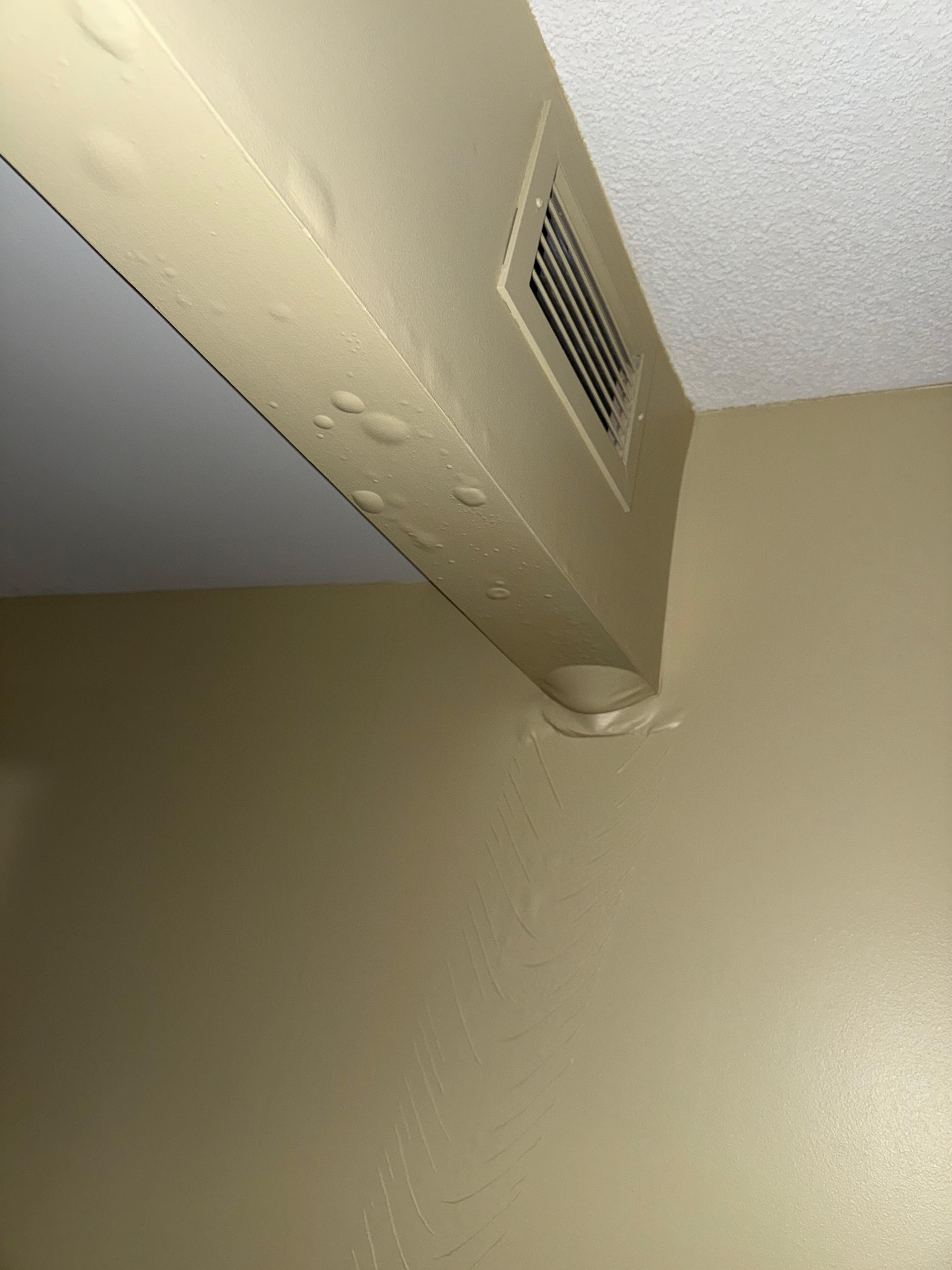 Water leak in ceiling. Notified front desk and they moved us to another room with no air