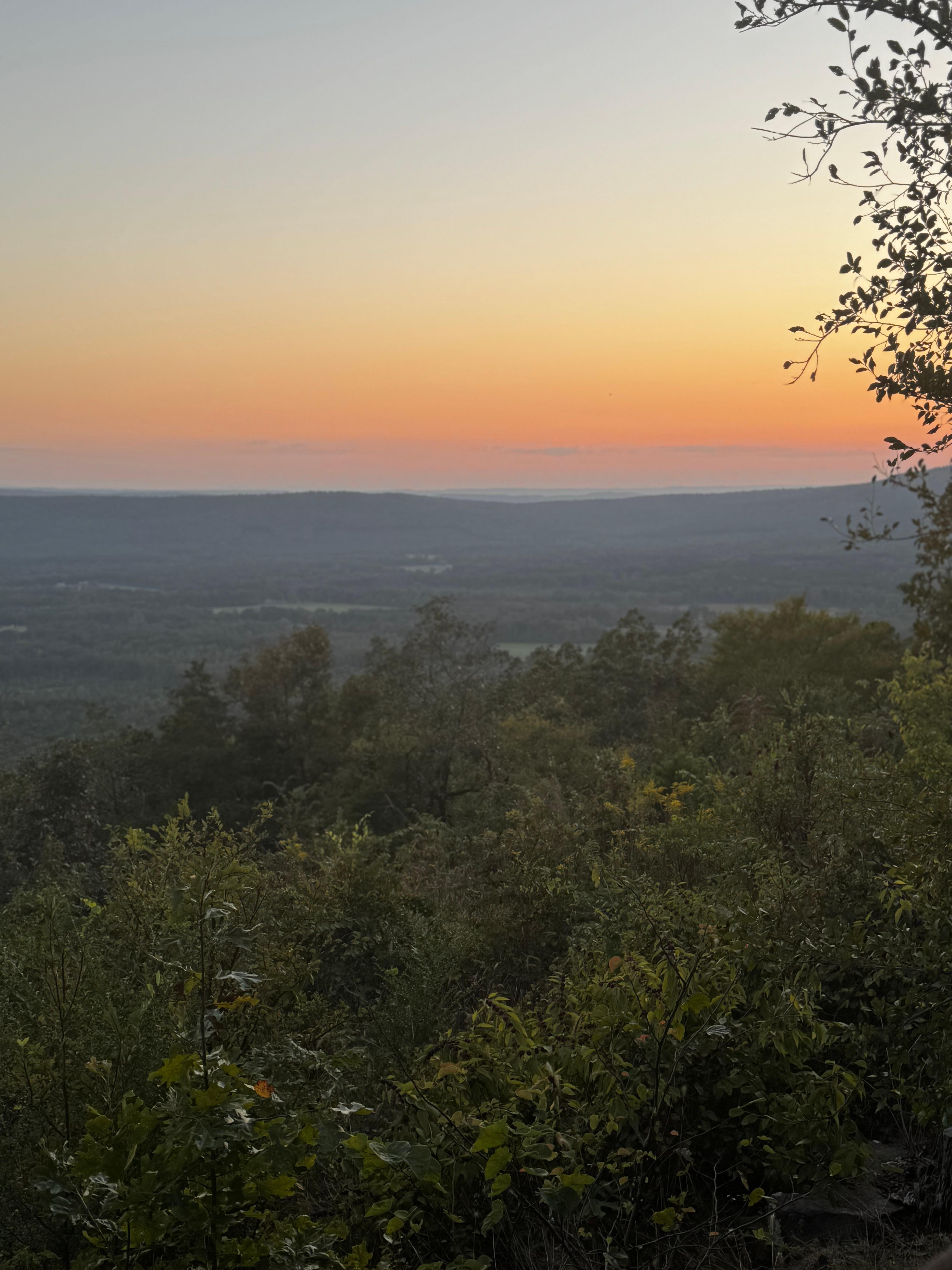 The view from the back patio 