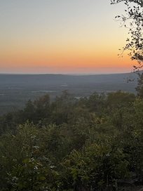 The view from the back patio