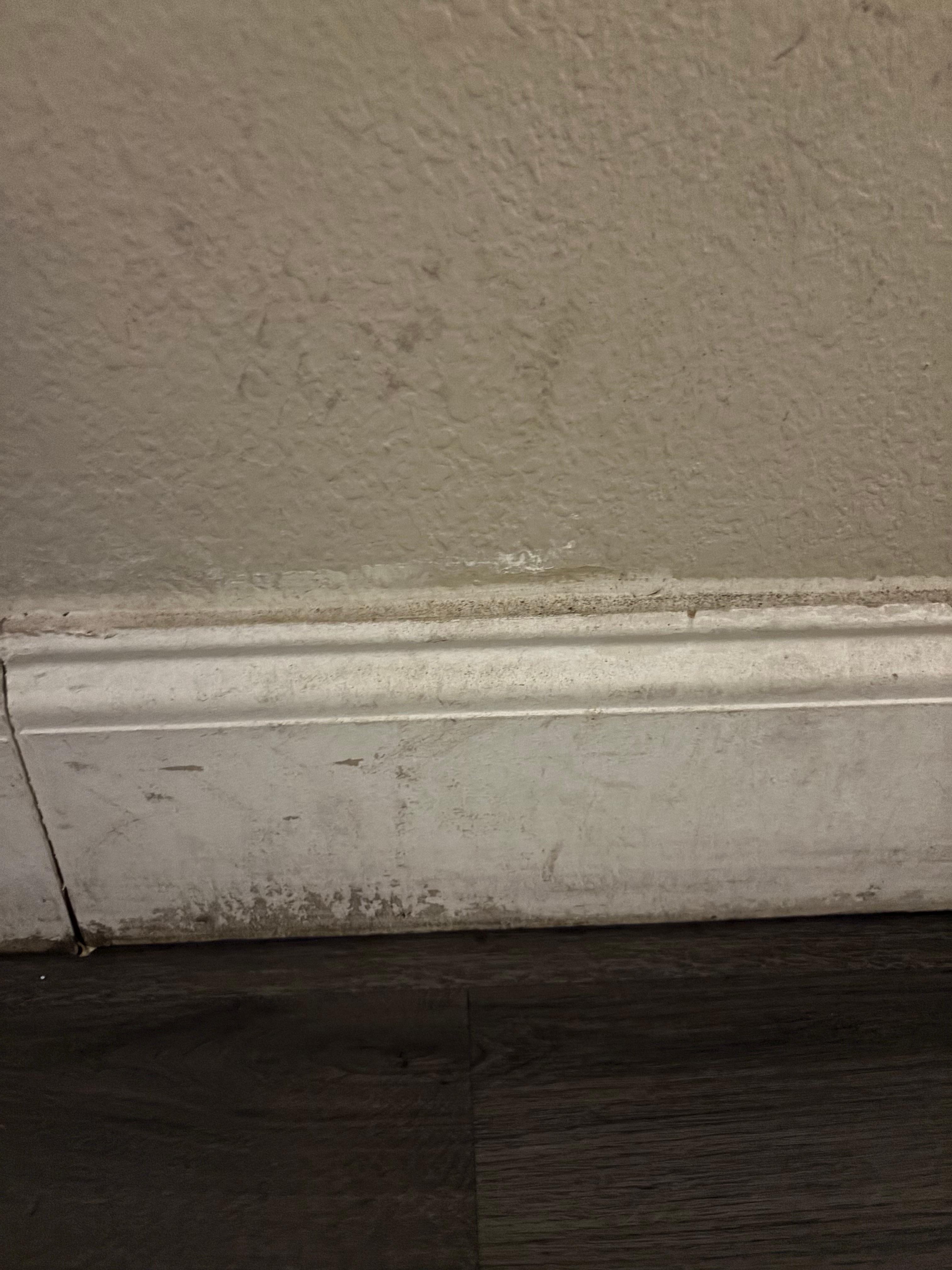 Mud and dirt all over the walls 