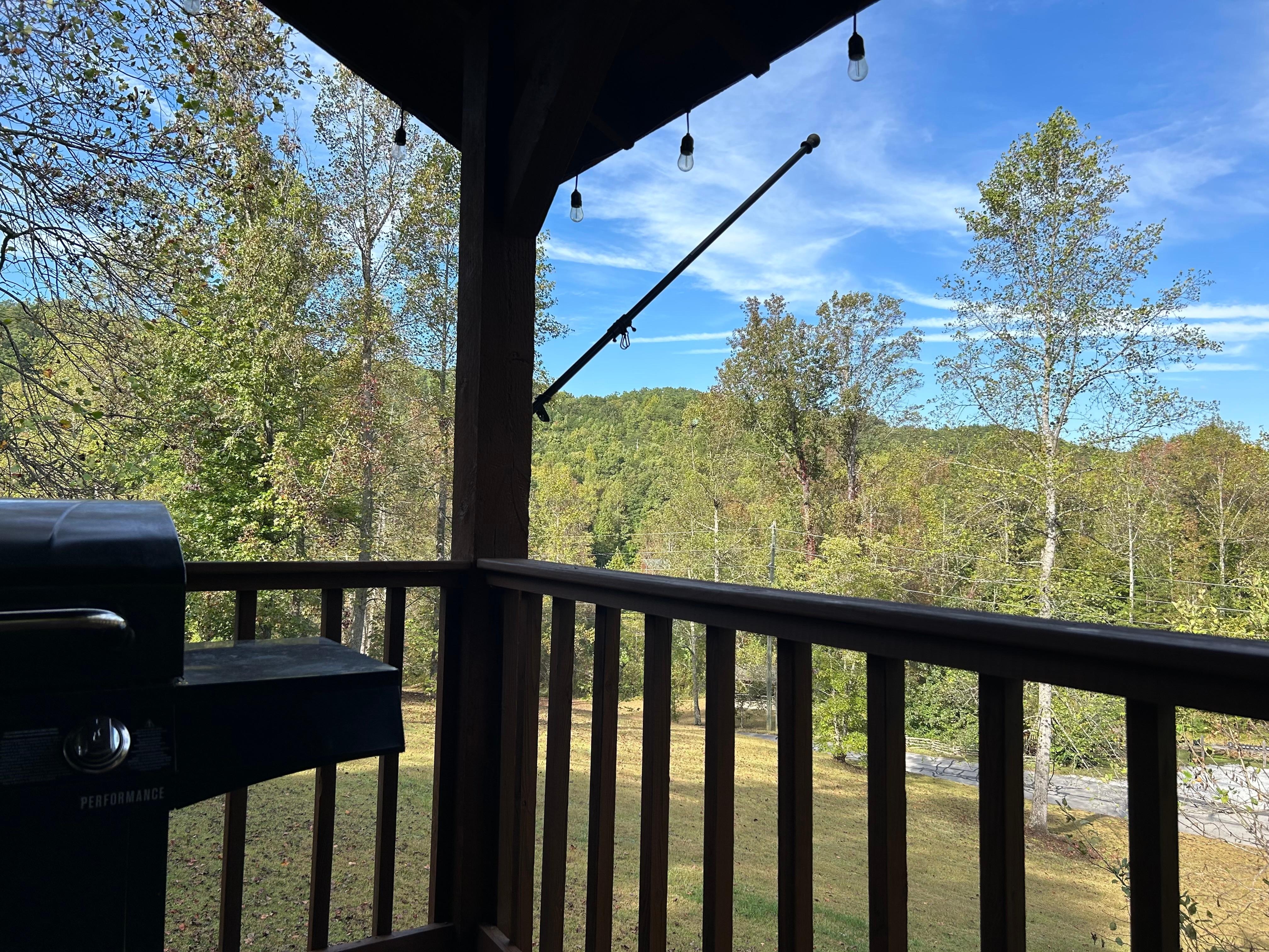 Another view from back porch. 