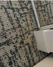 additional stain - looks like pee possibly