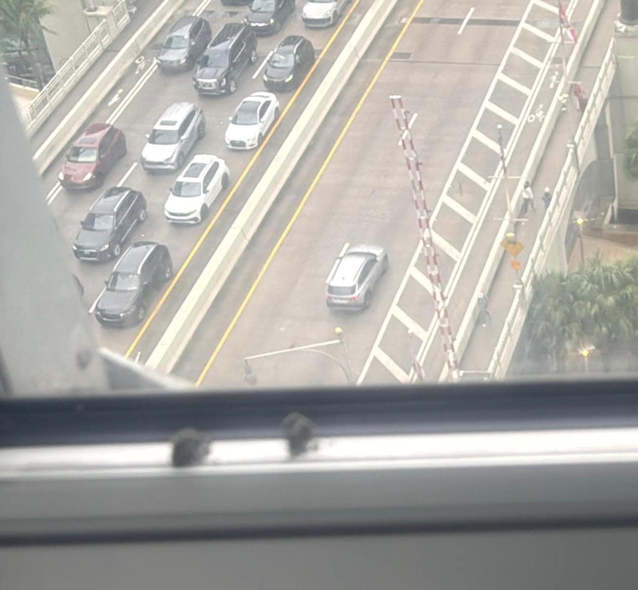 Cigarettes butts in the window 