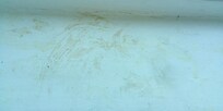 ? On the windowsill