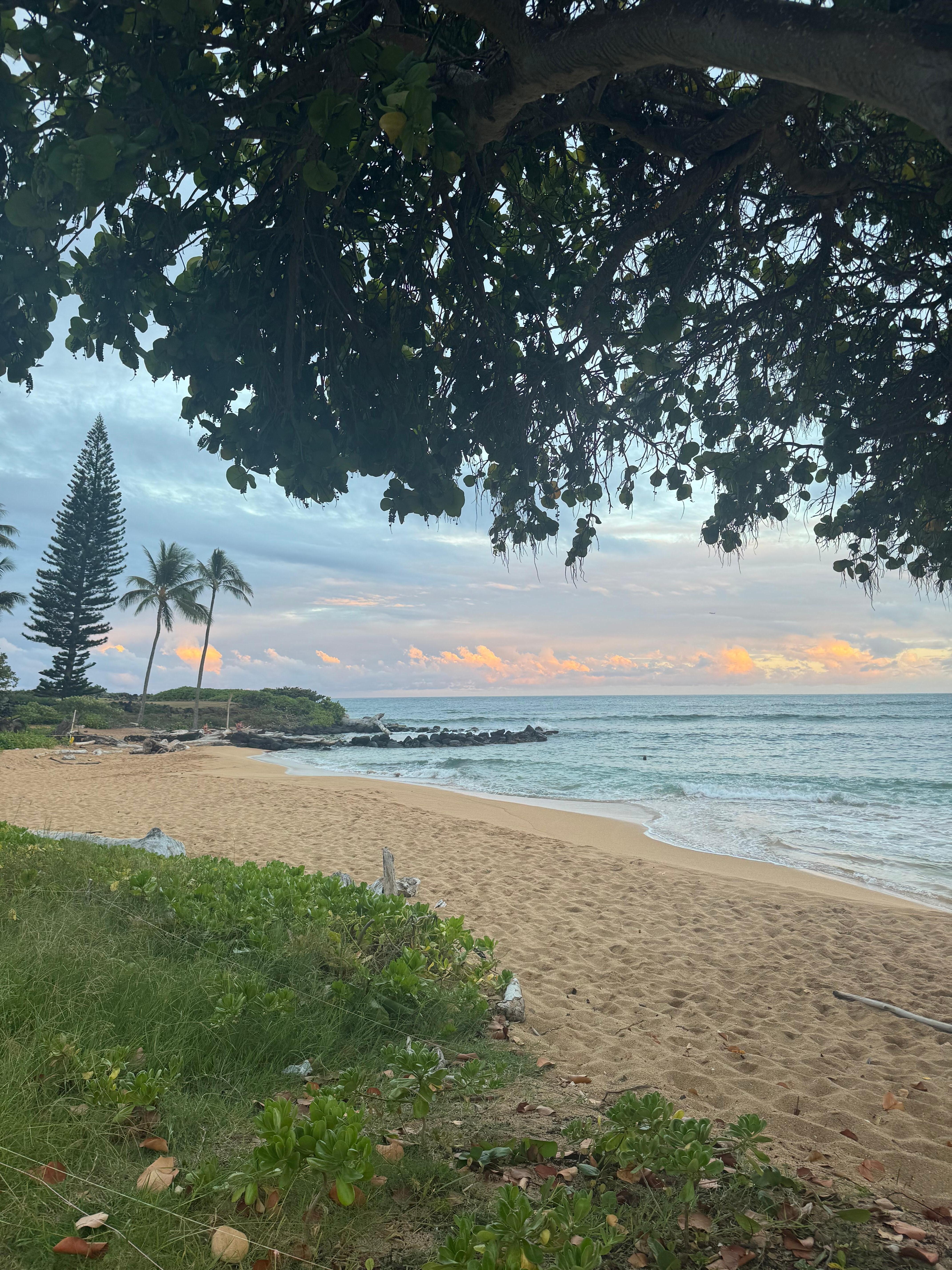 beautiful beach out front of condo