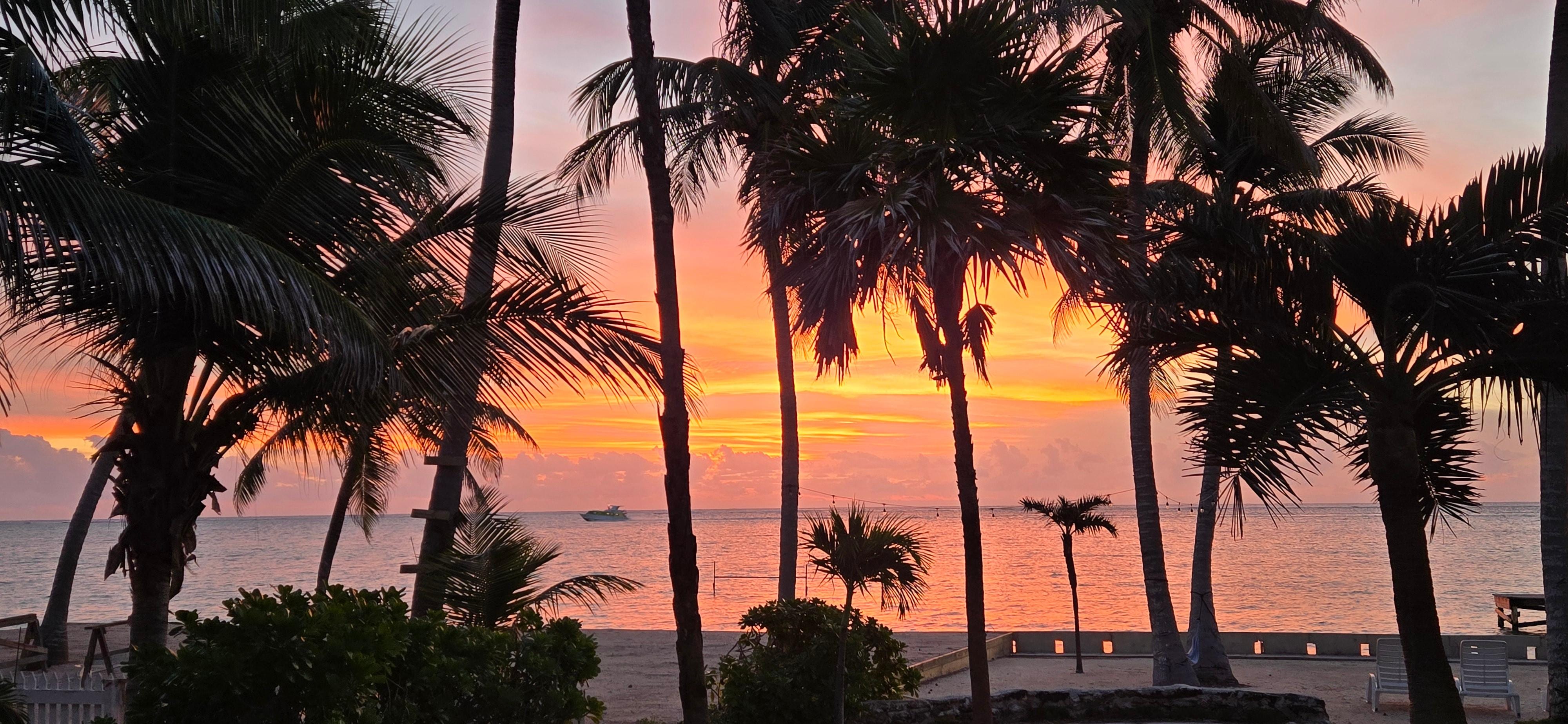 Morning shots! Three different days.