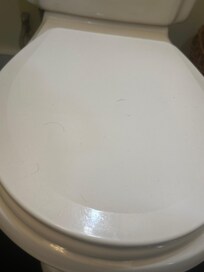 Hair on the toilet