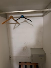 Damp and mold