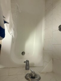 Mould every where and cockroaches