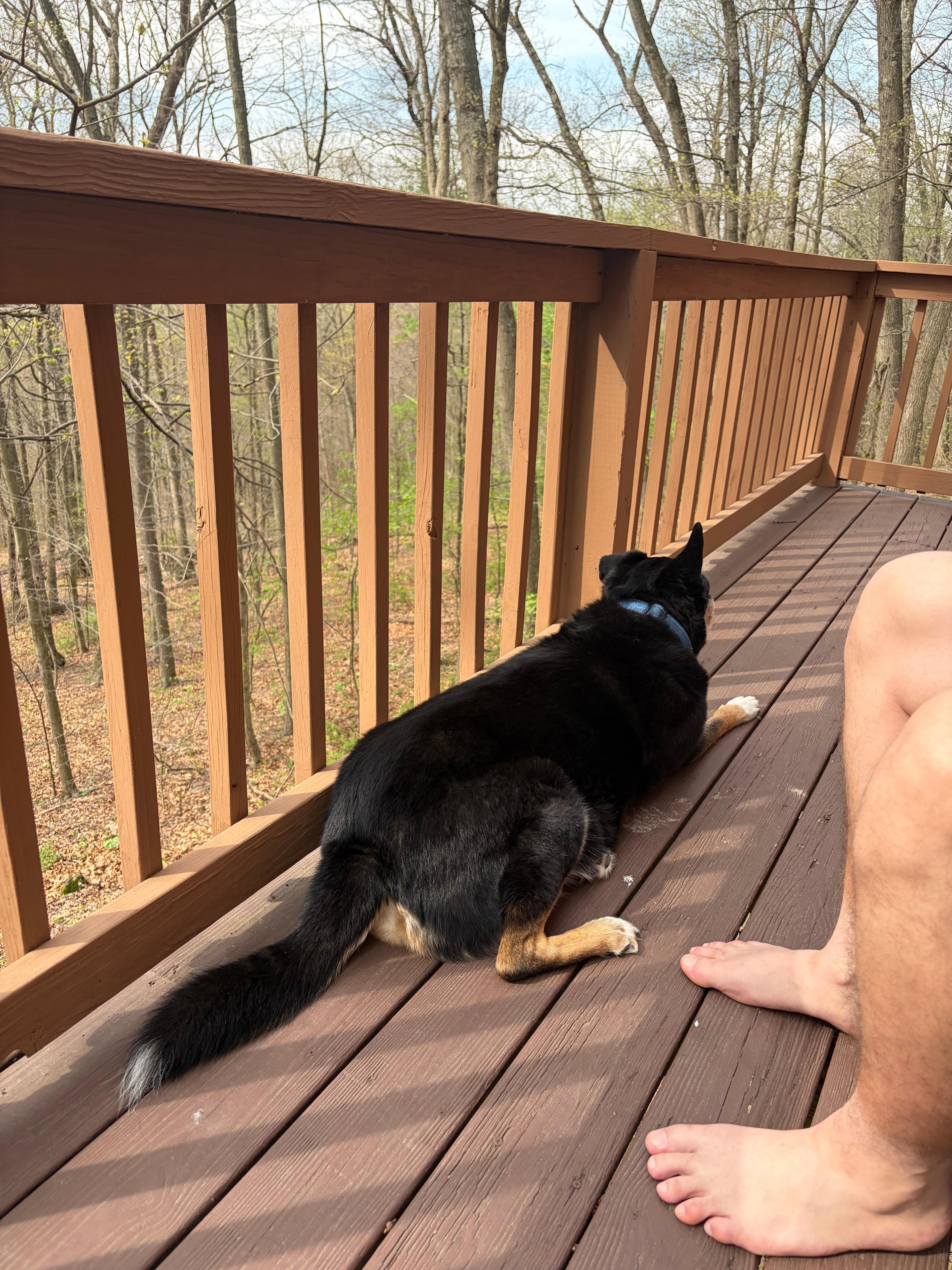 Enjoying the back deck 