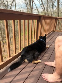 Enjoying the back deck