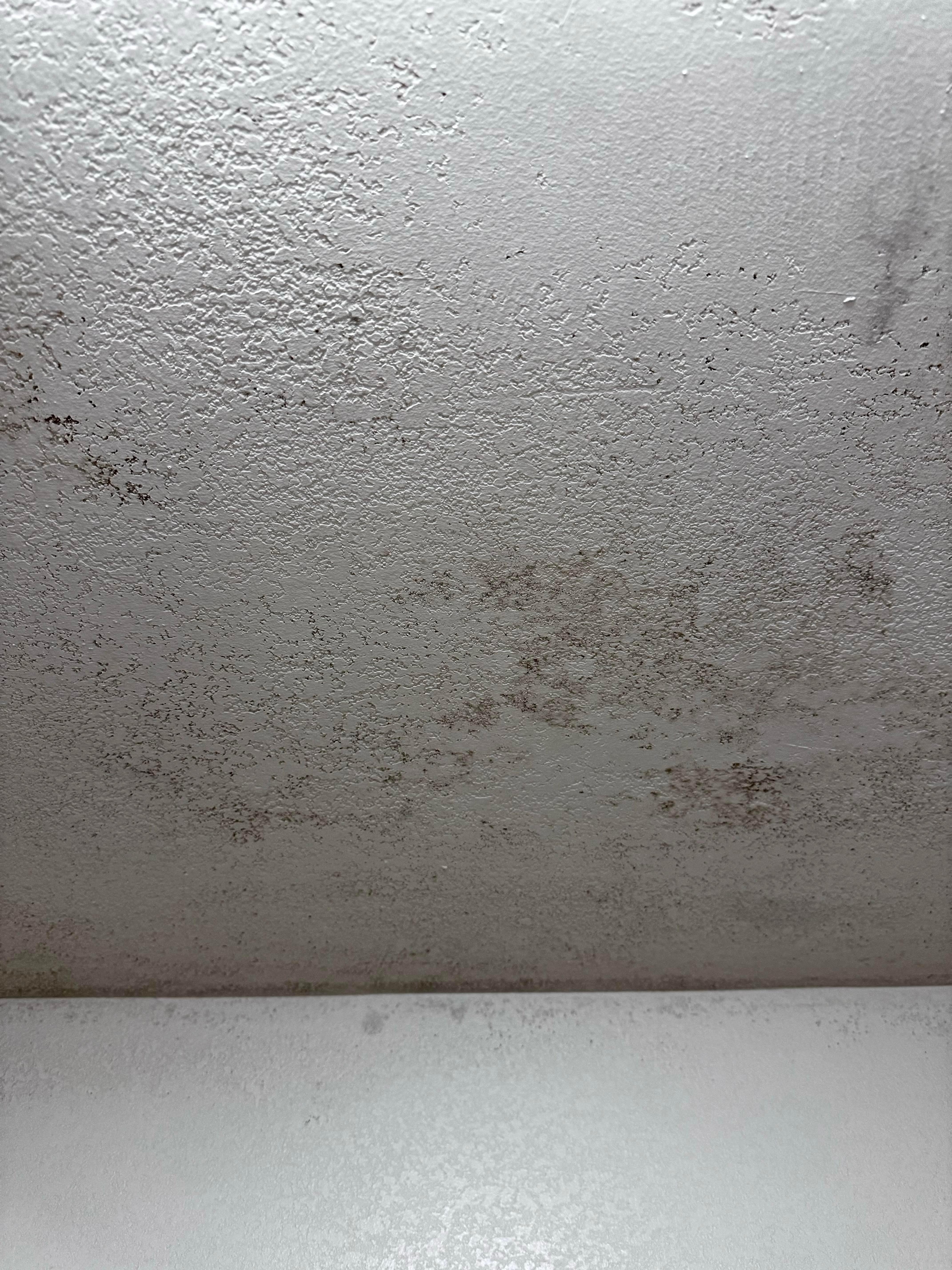 Likely black mold or mildew on ceiling of shower.  
