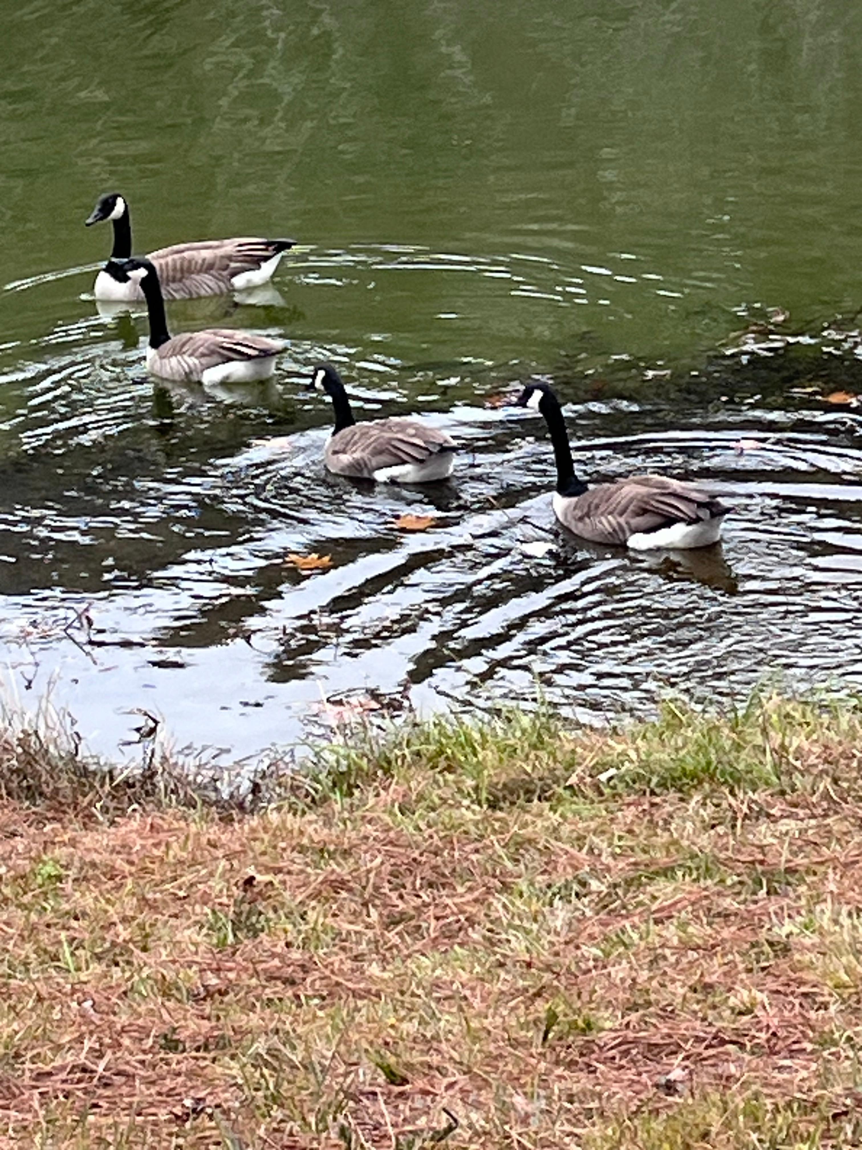 Be in nature just minutes away from the property. 