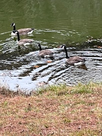 Be in nature just minutes away from the property.