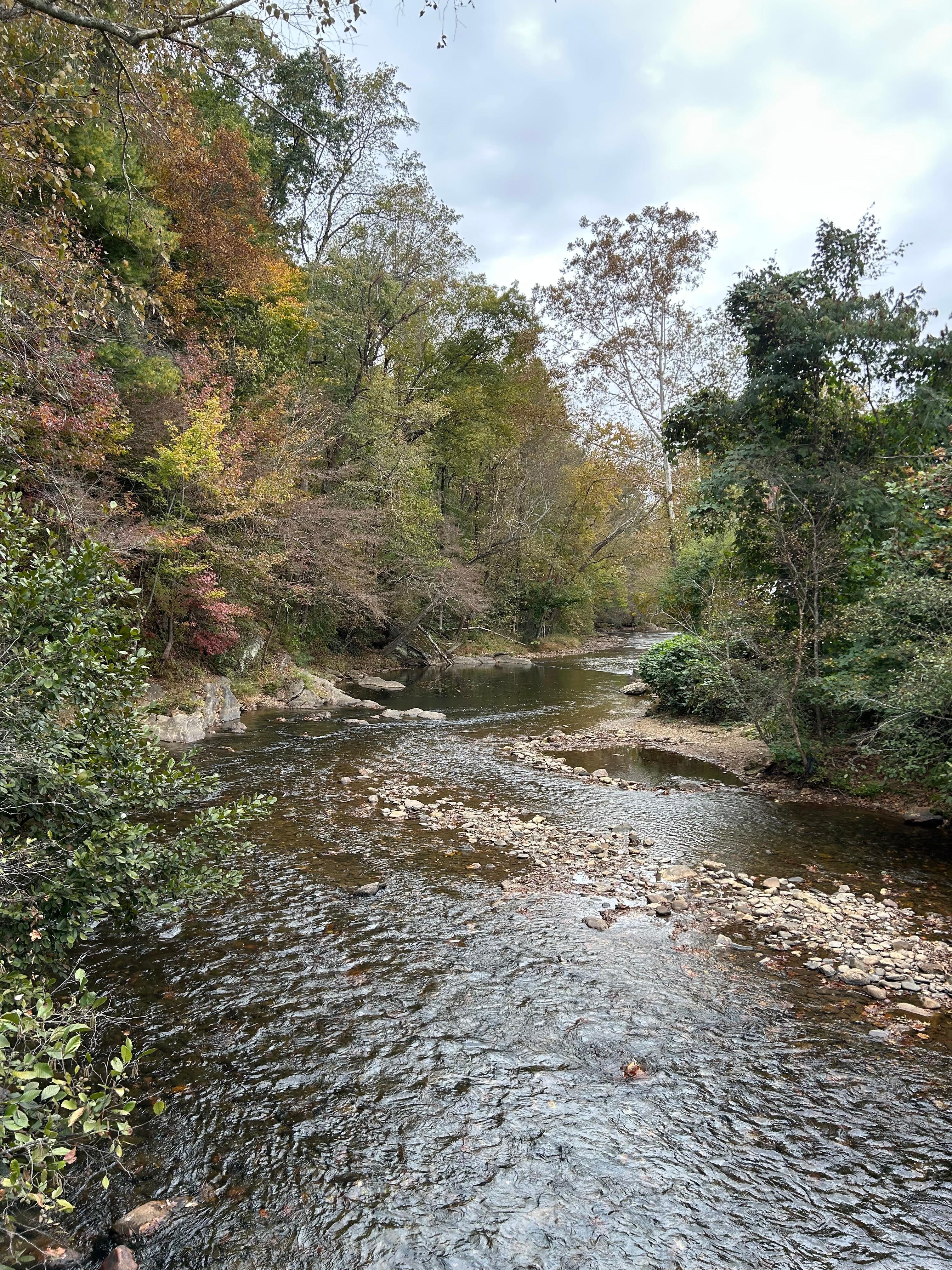 The Hooch down by Festhall 