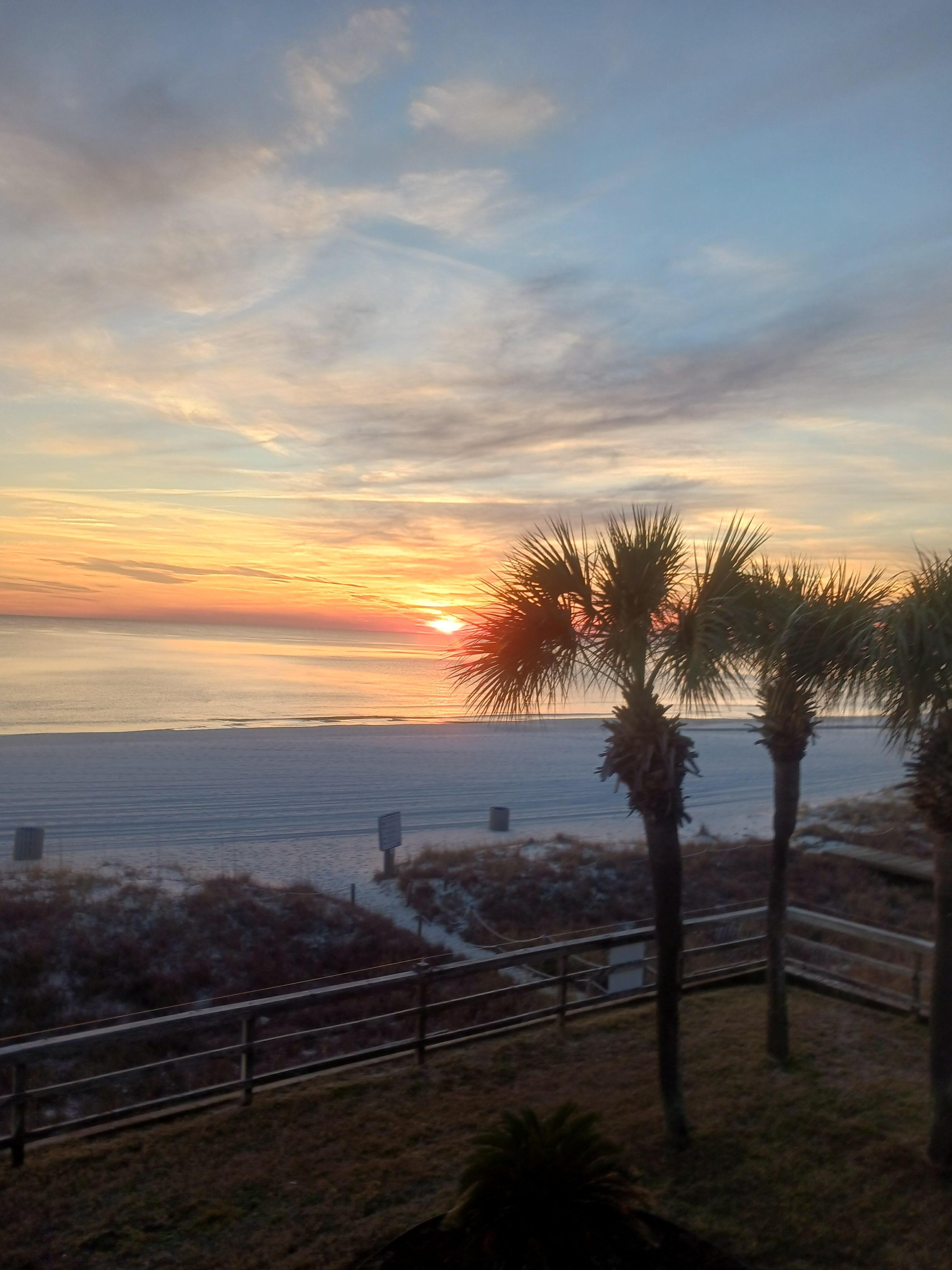 Beautiful scene from our balcony 