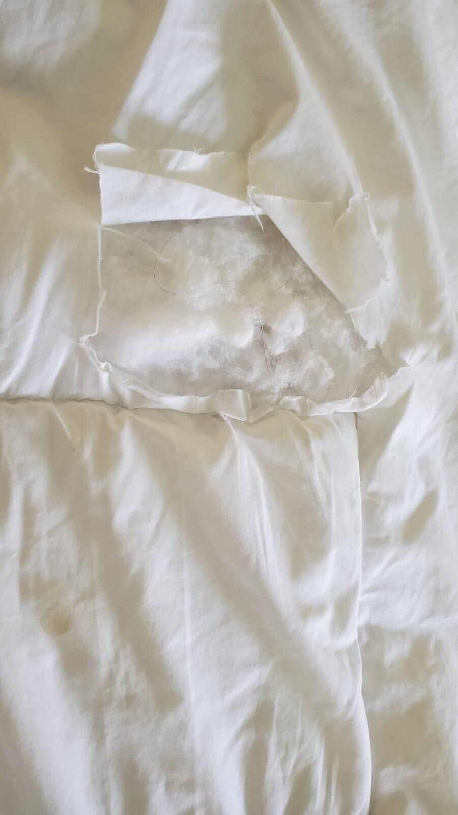Holes in bedding