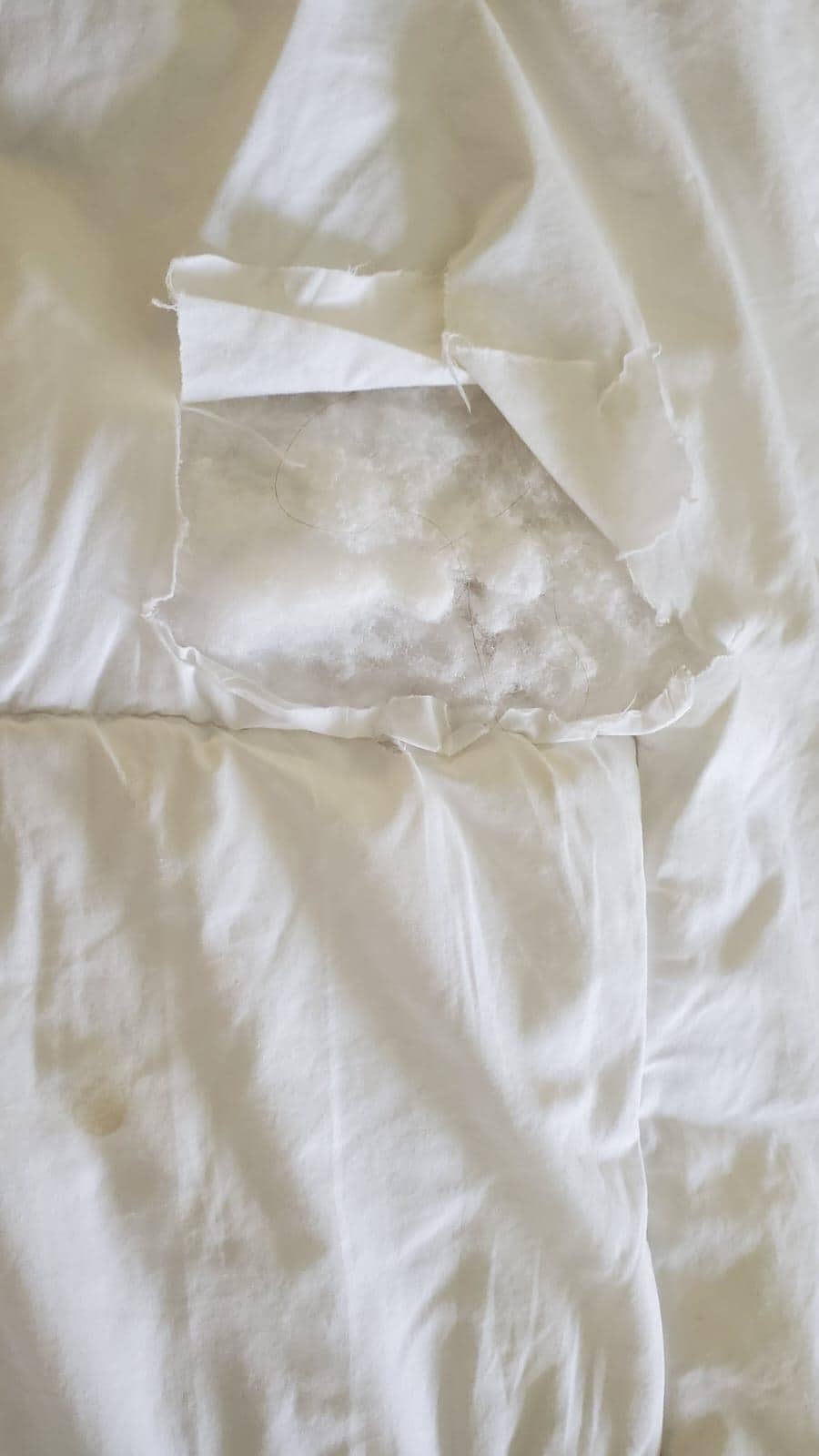 Holes in bedding