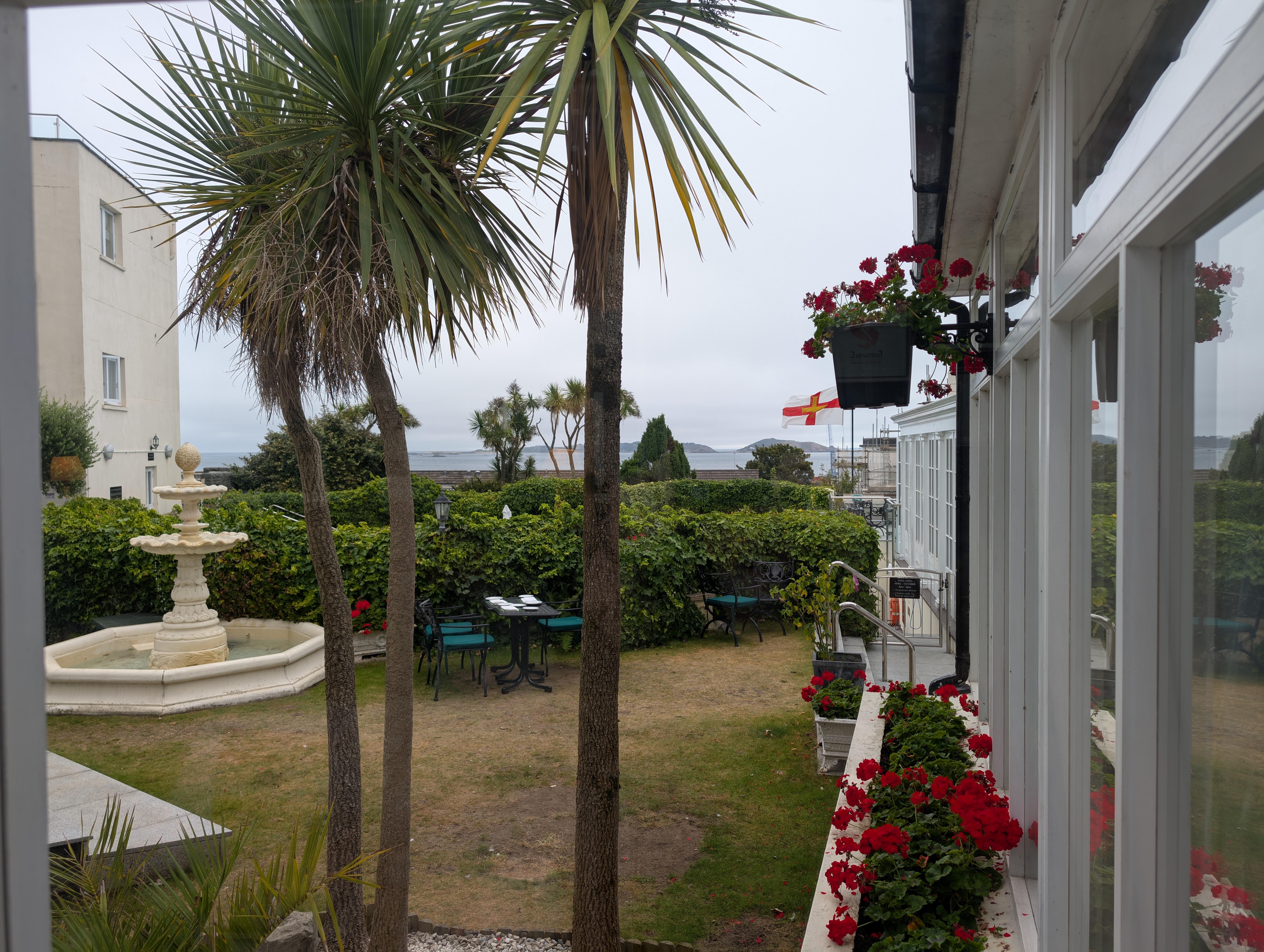 View from the dining room