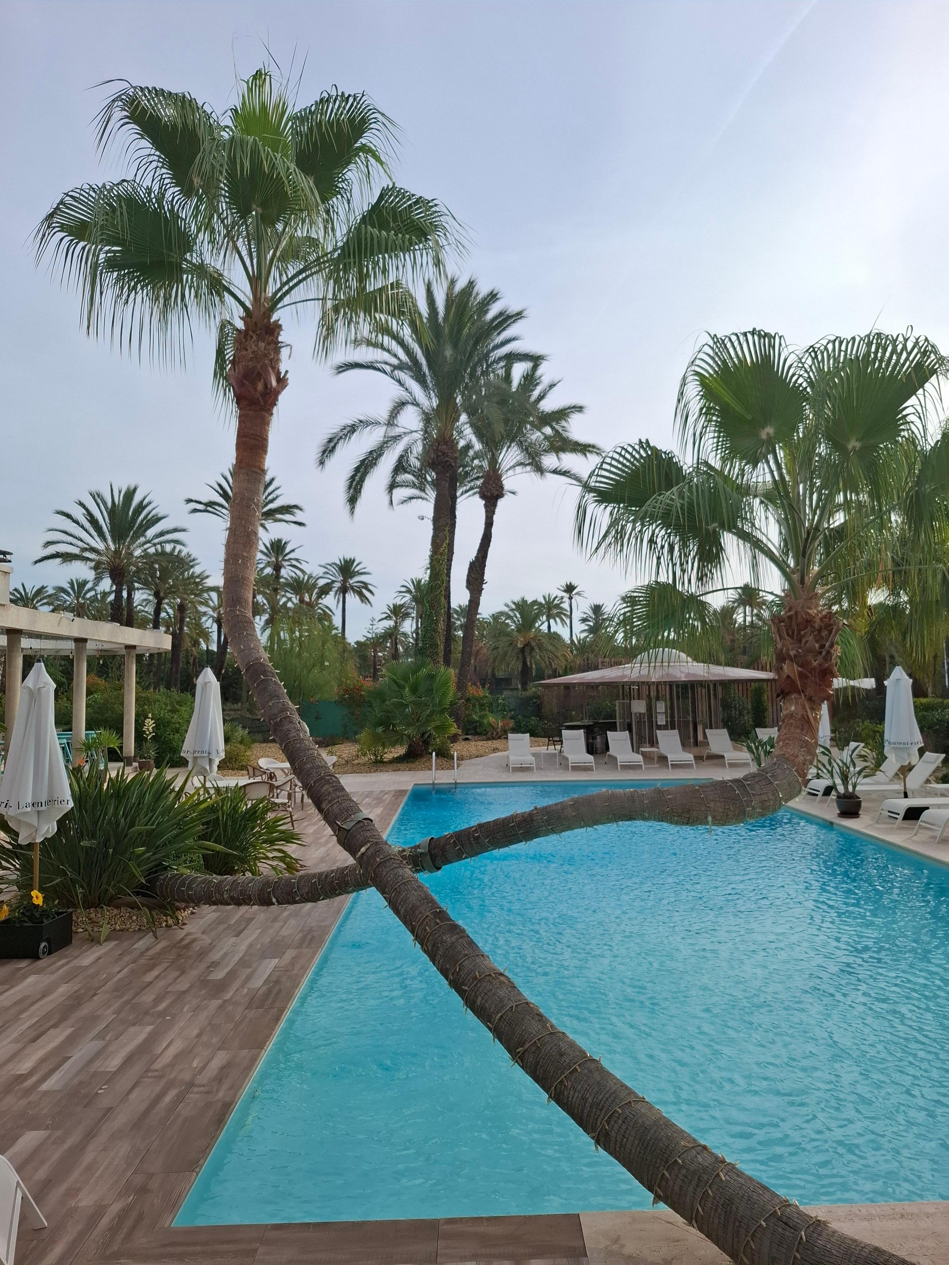 Het zwembad in de binnentuin