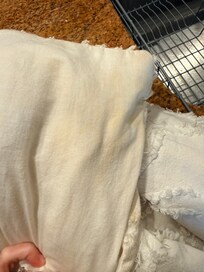 Staining on spare comforter