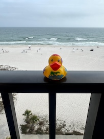 View from the balcony