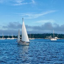 Walkable to Thames, great restaurants, shopping, mansions and just watching the boats.