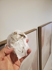 Dust on the paintings