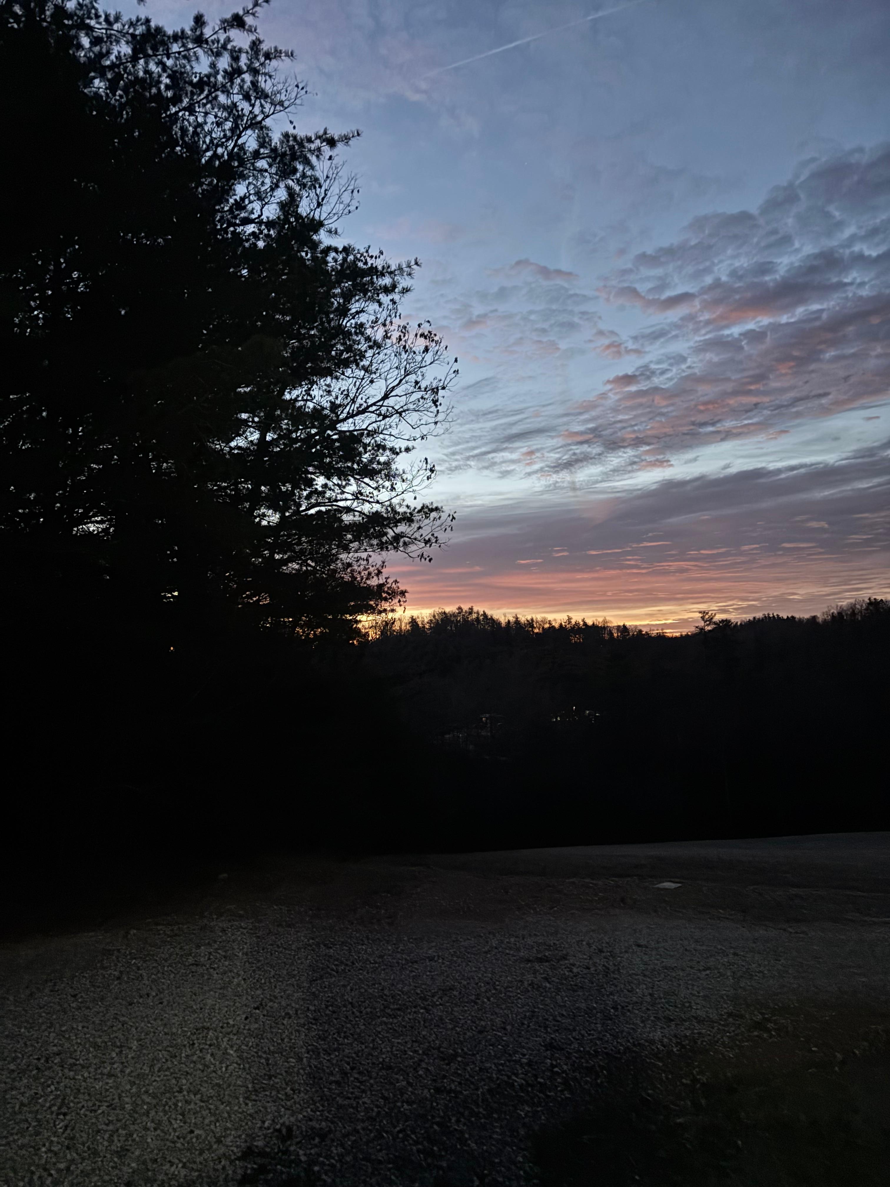 Enjoy the sunshine!! 