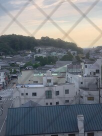 The view