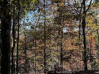 View while sitting at the fire pit.