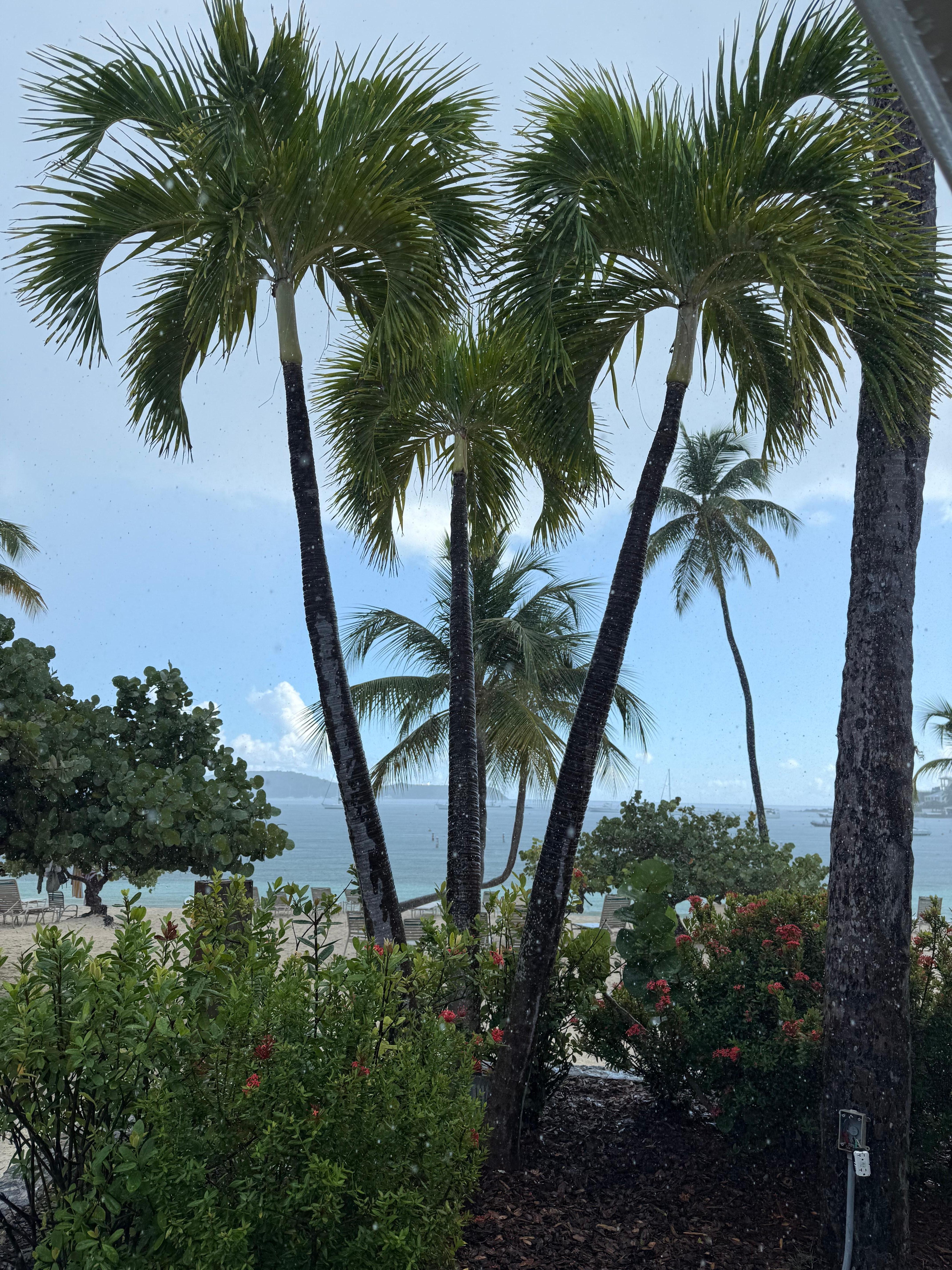 View from Rico’s Pool Bar