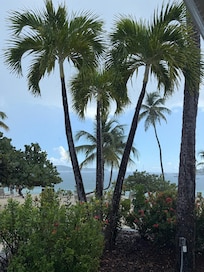 View from Ricoâs Pool Bar