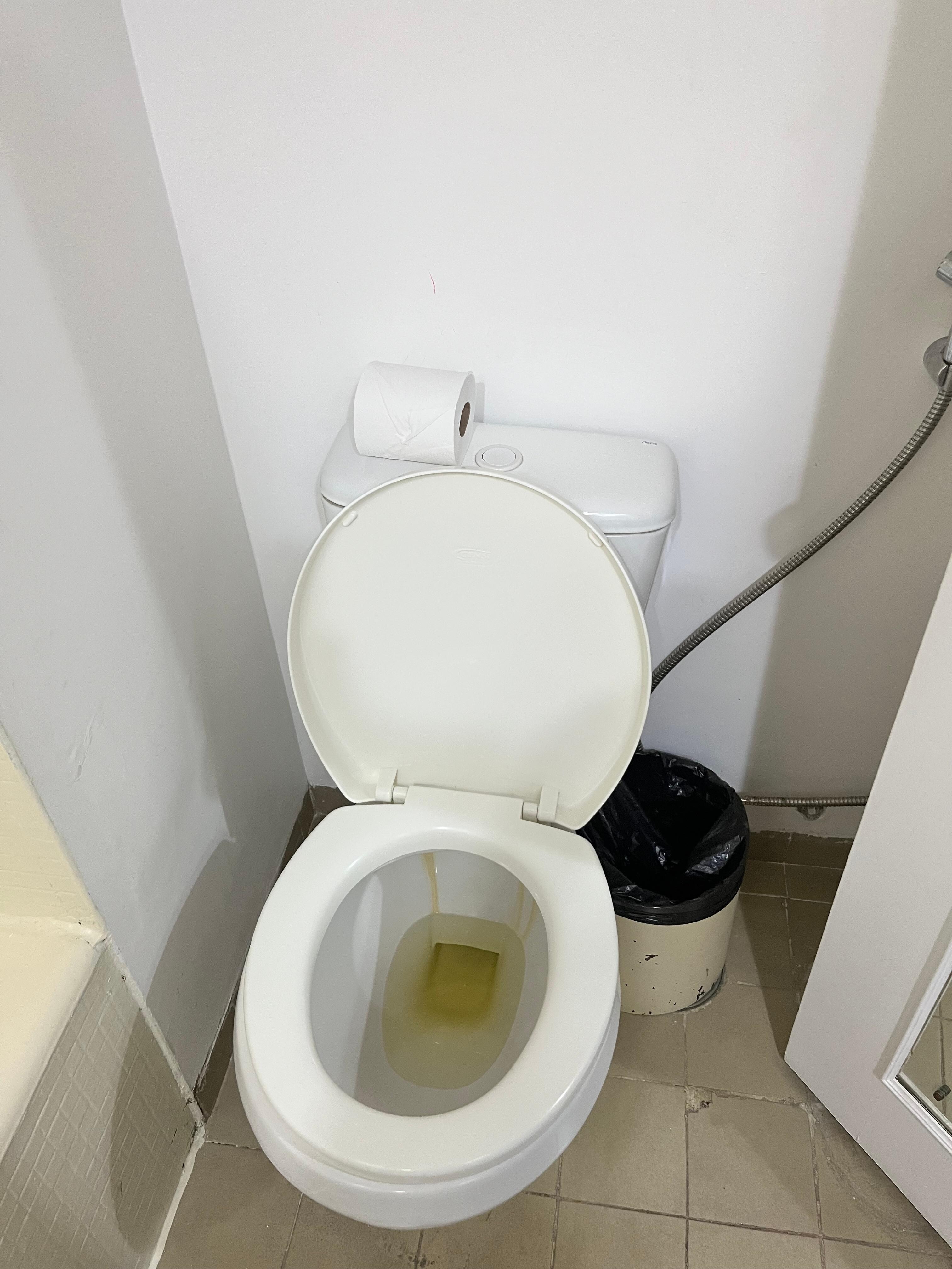 Vaso sanitário 
