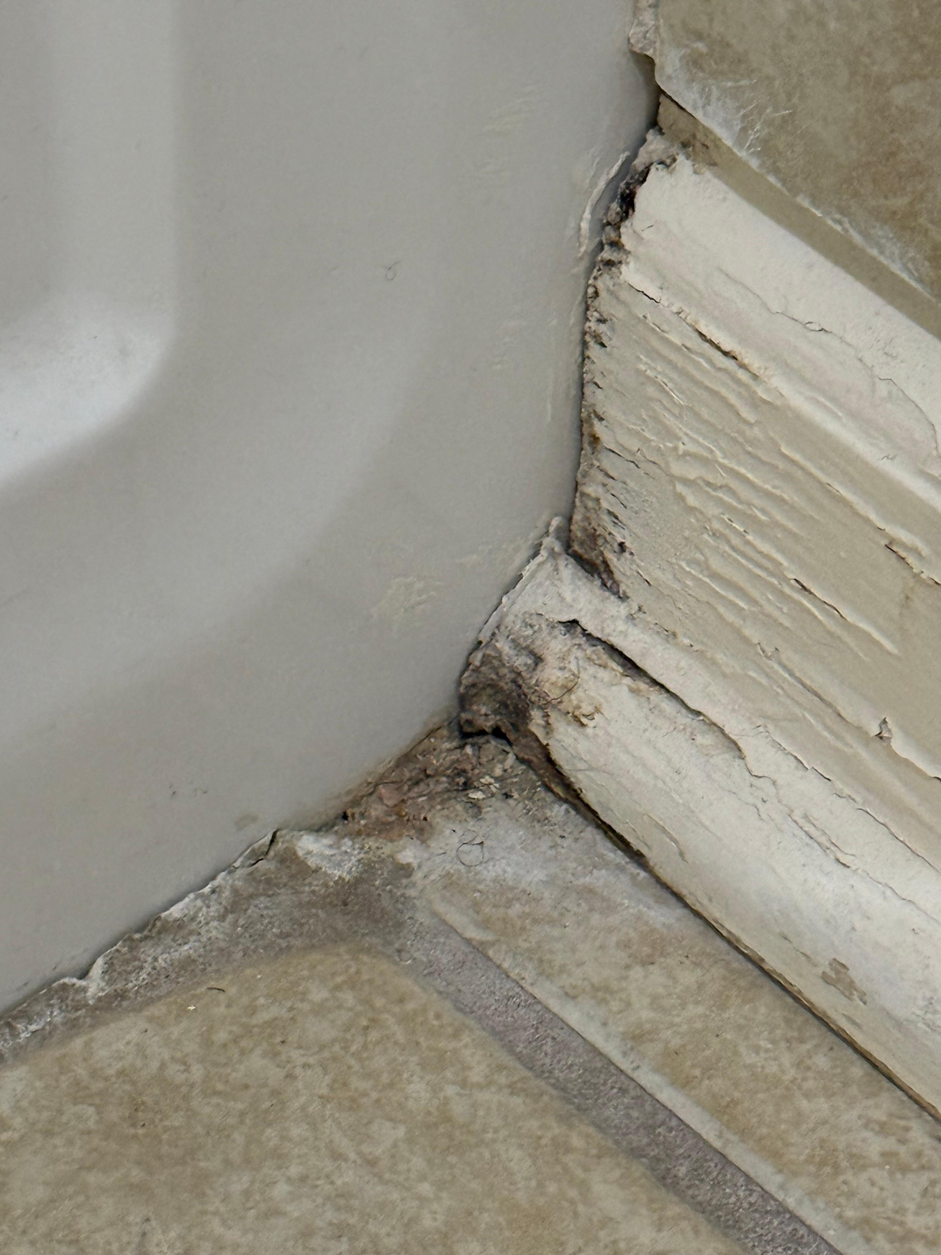 Rotted wood and dirty bathroom floors.