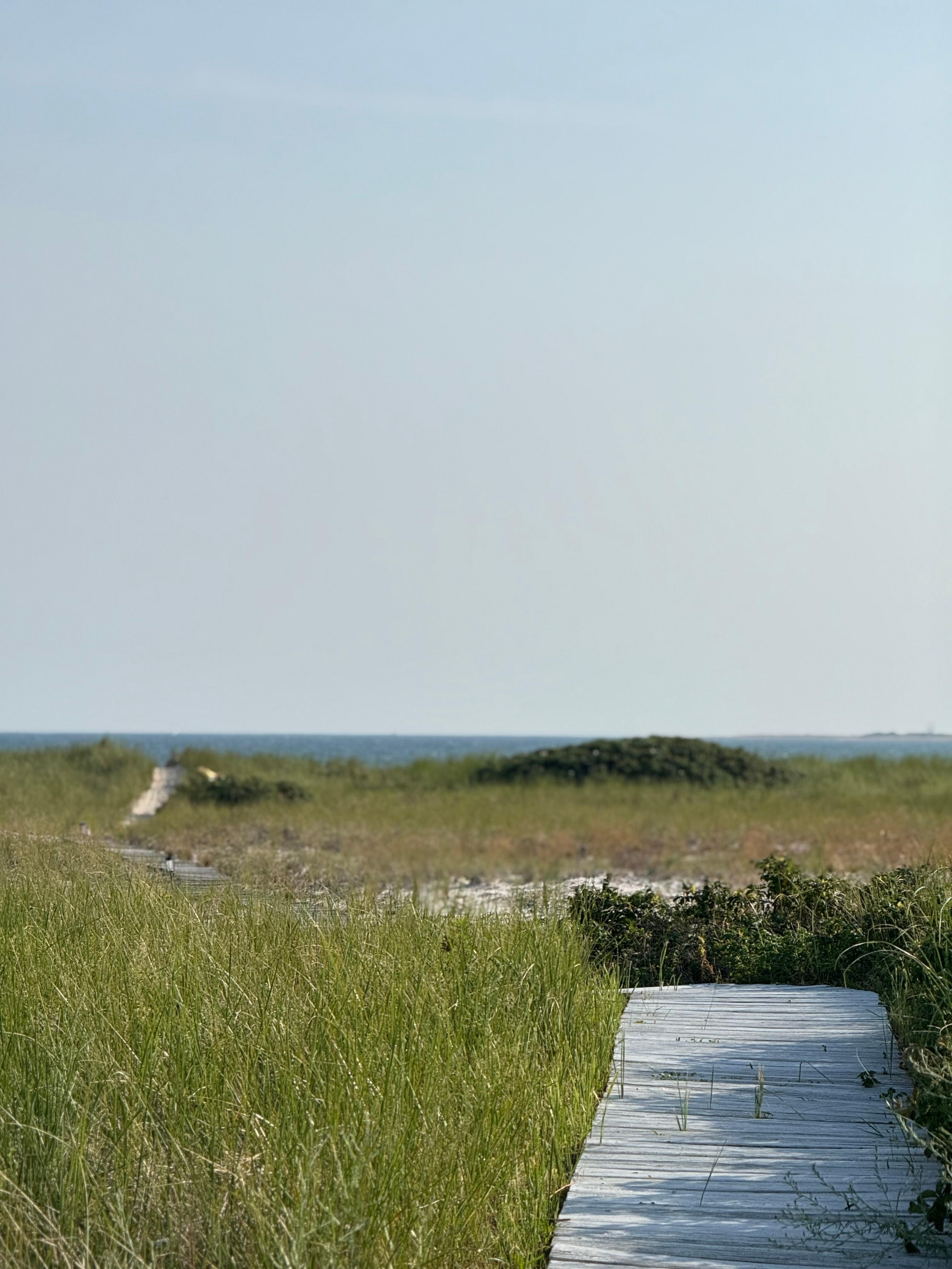 Path to the Bay from the house