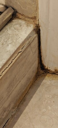 Moldy trim by leaking shower and broken tiles