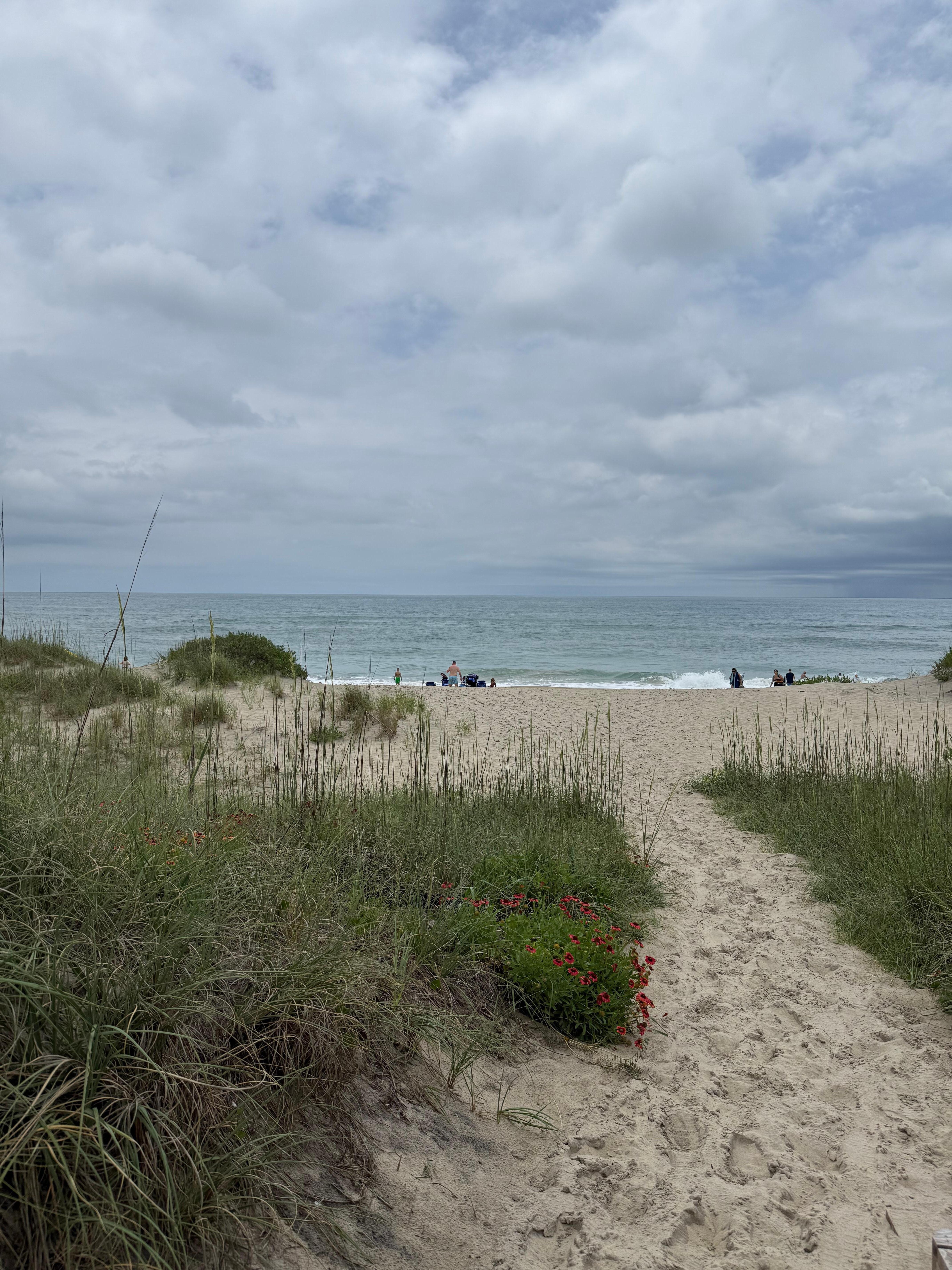 View from the end of the boardwalk over the dunes