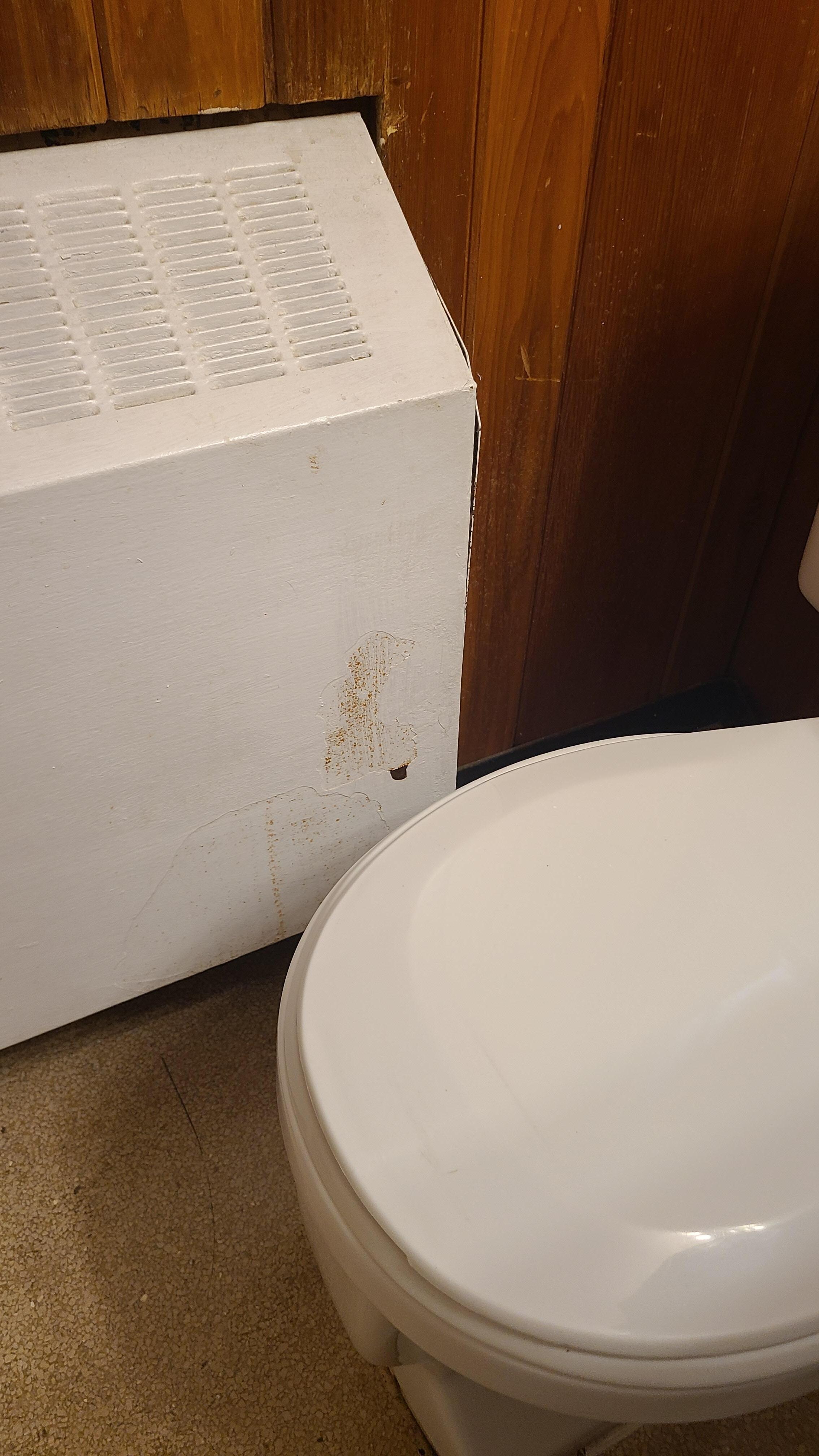 Feces.