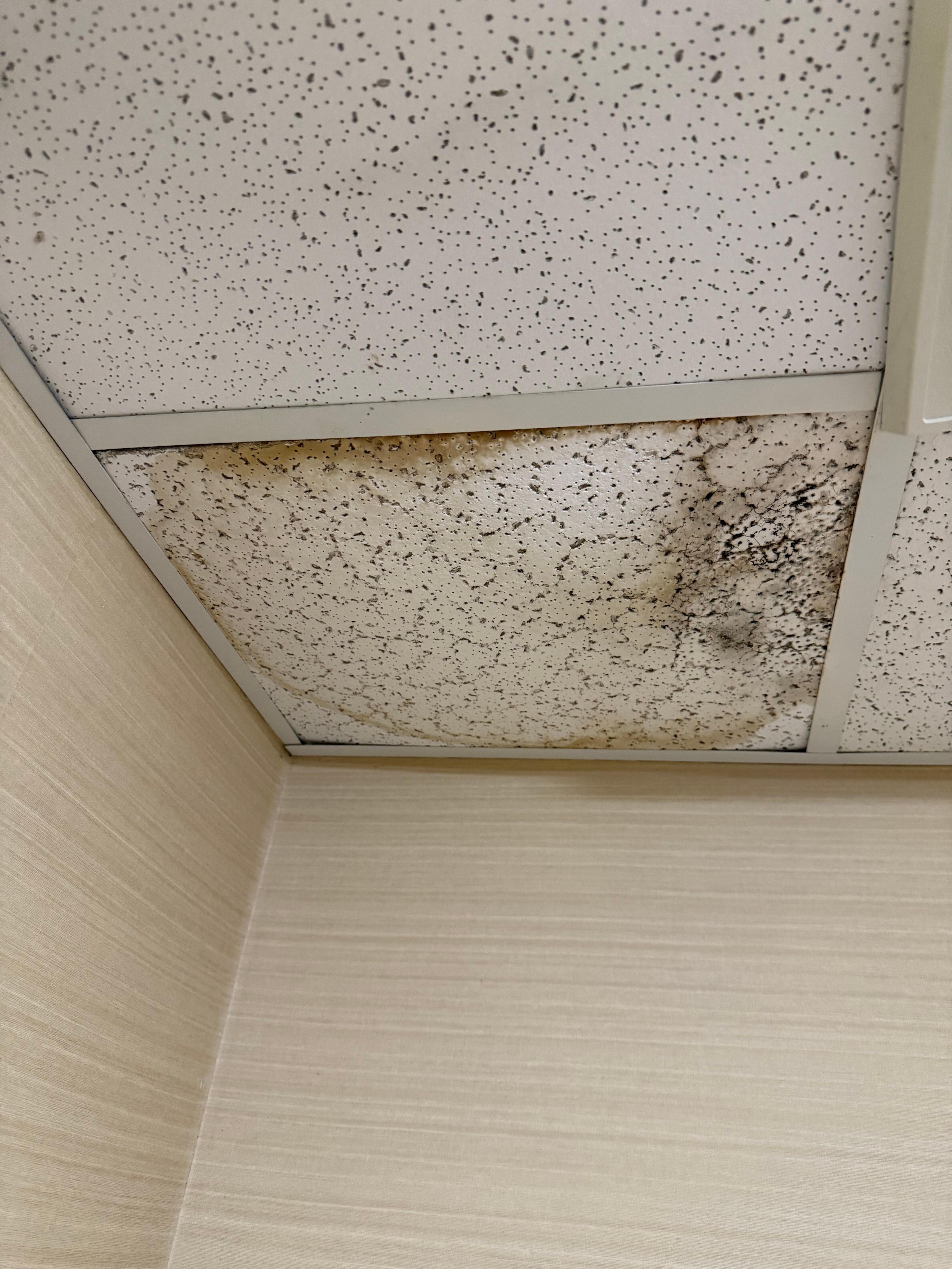 Gross water damage ceiling 