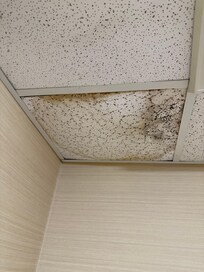 Gross water damage ceiling