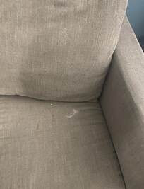 sofa bed