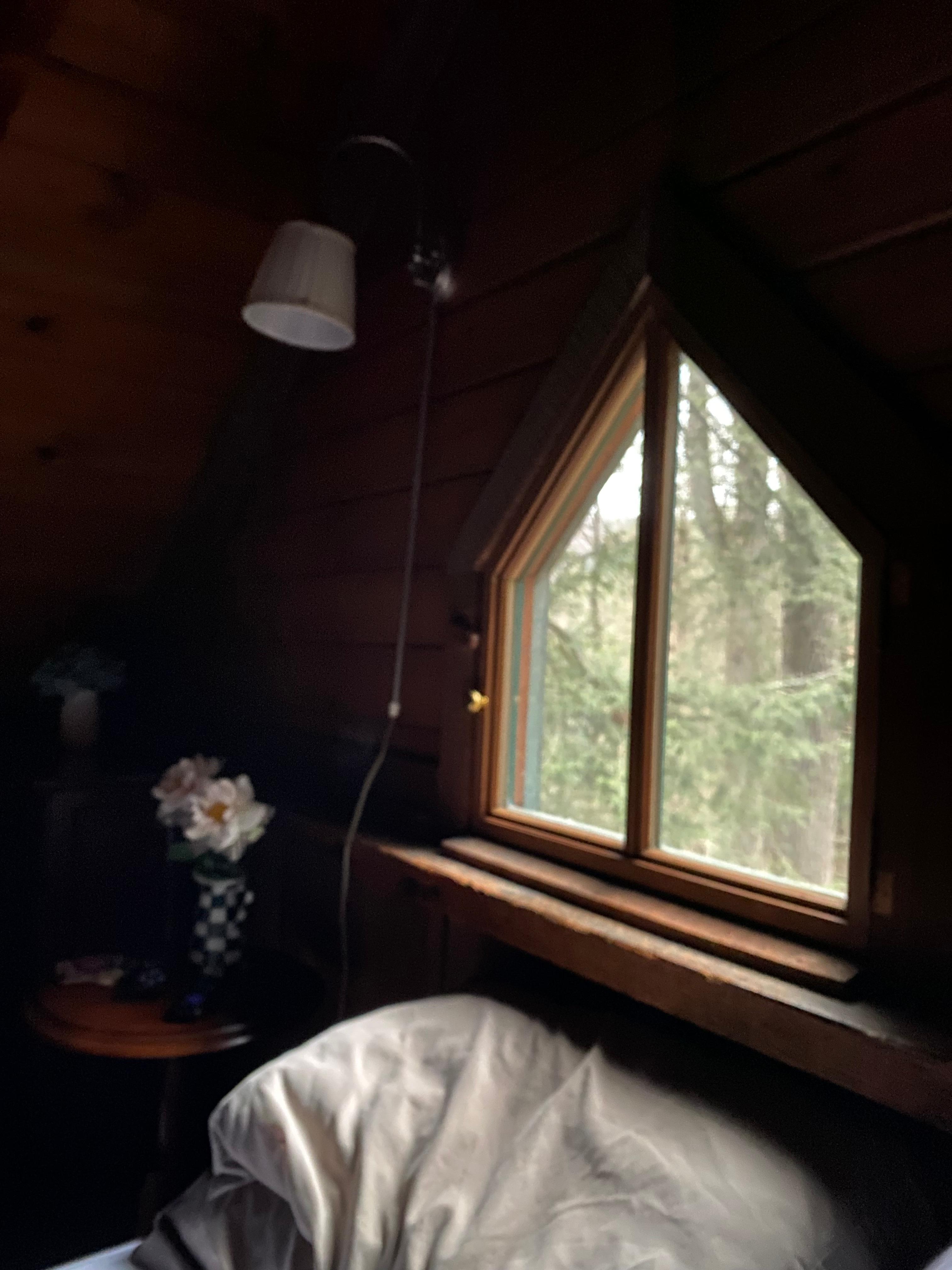 Morning view from the loft.