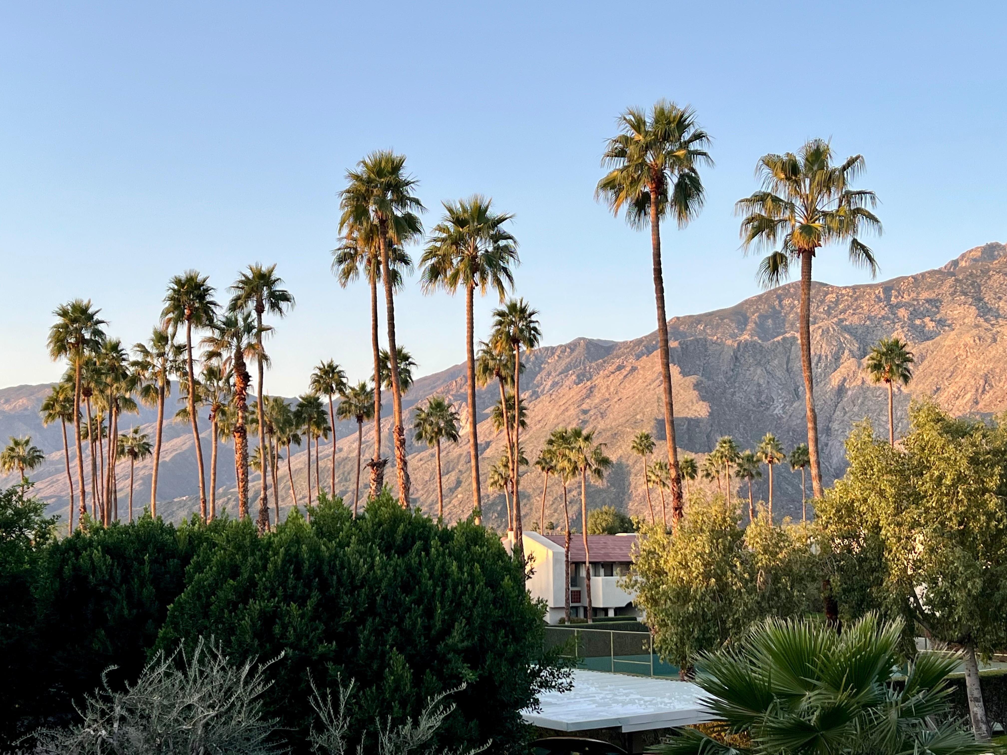 View of the mountains!