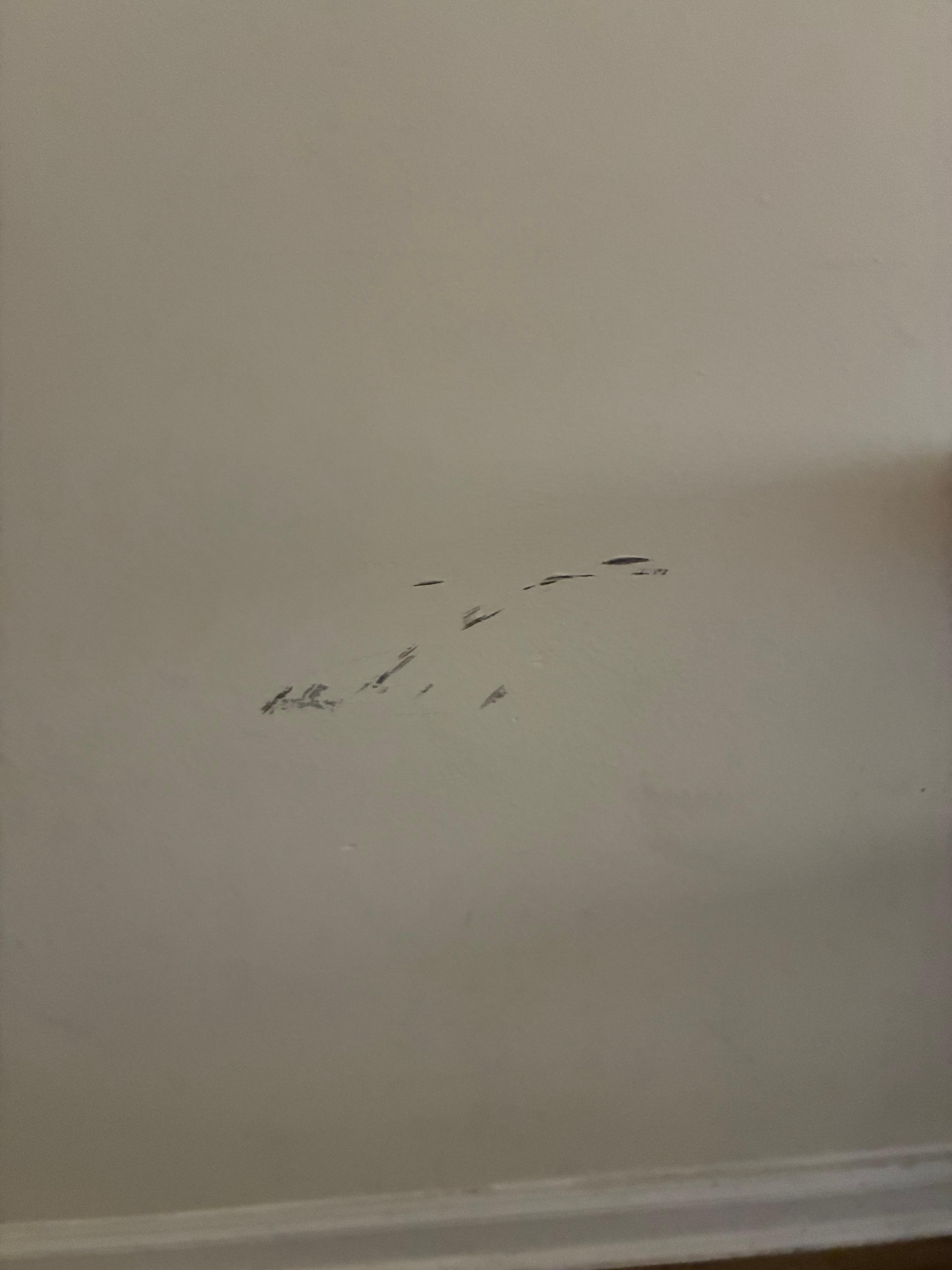 Dirty marks on the wall