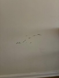 Dirty marks on the wall