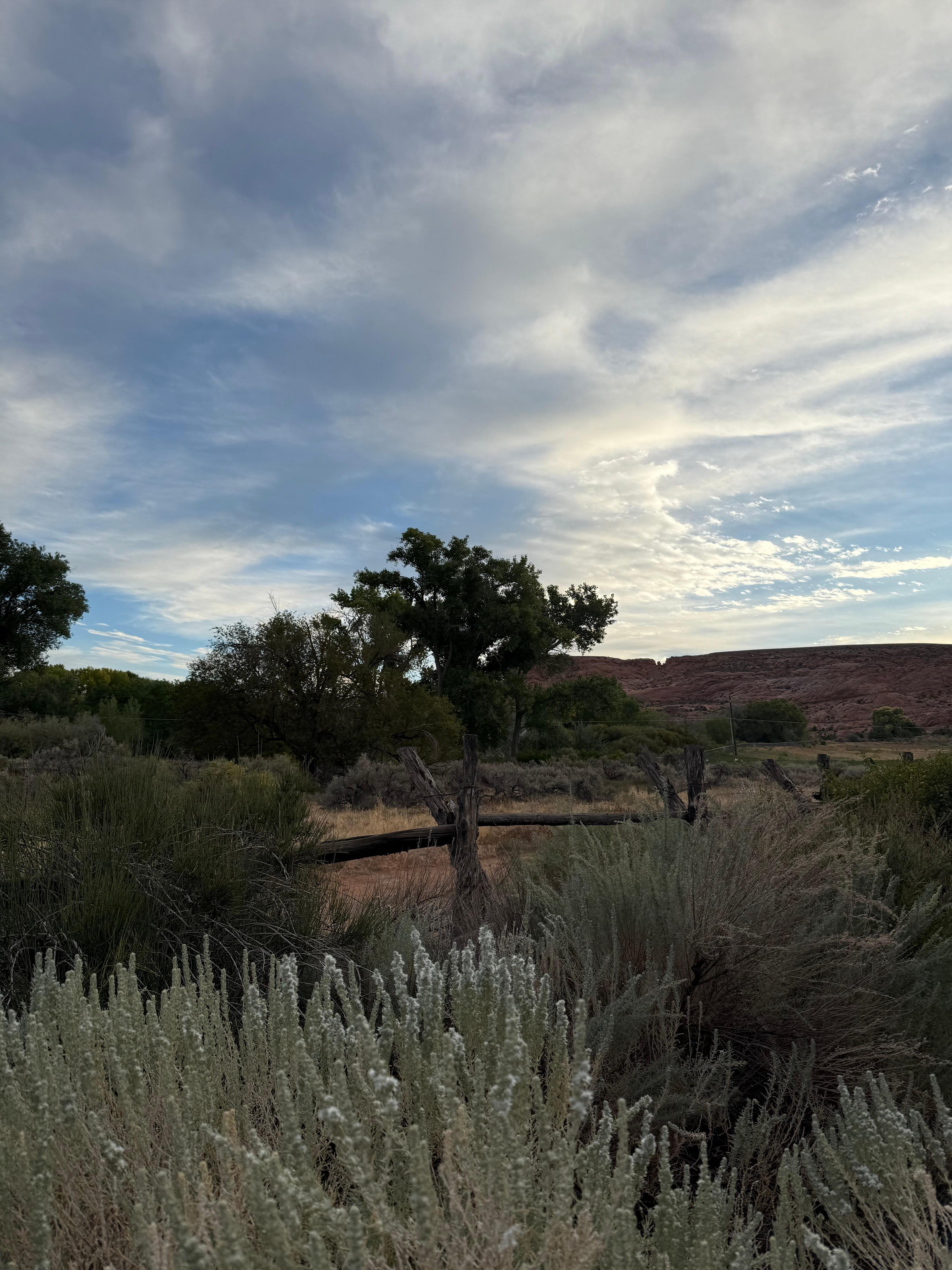 Taken from the back porch