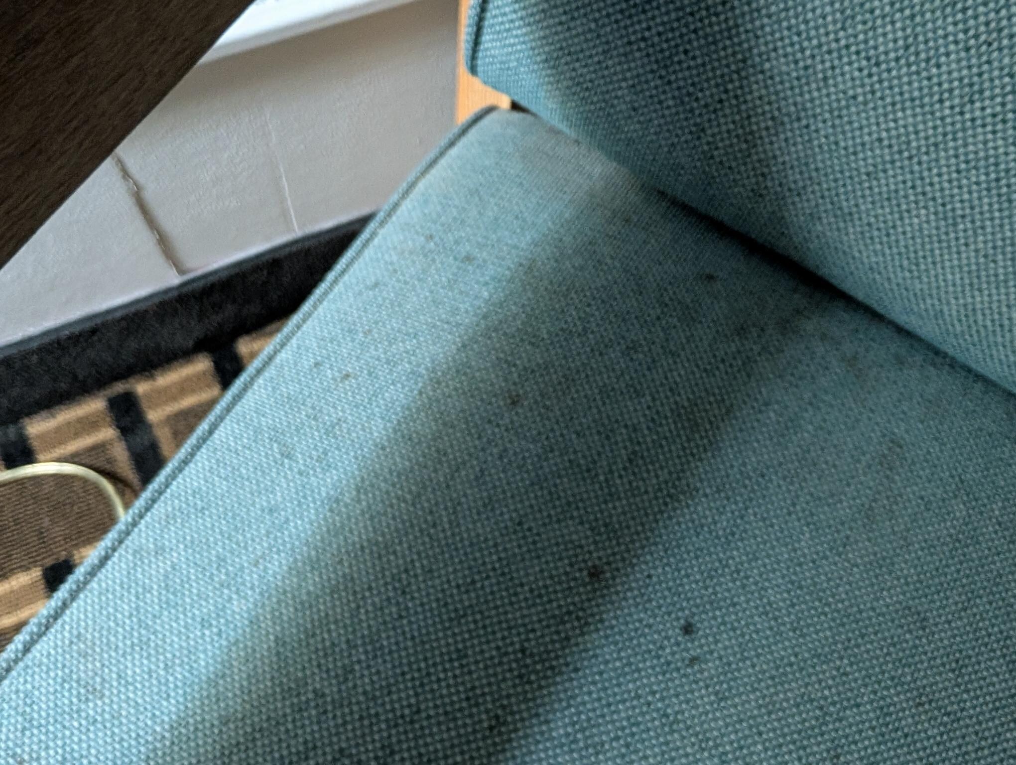 Mold growing on chair