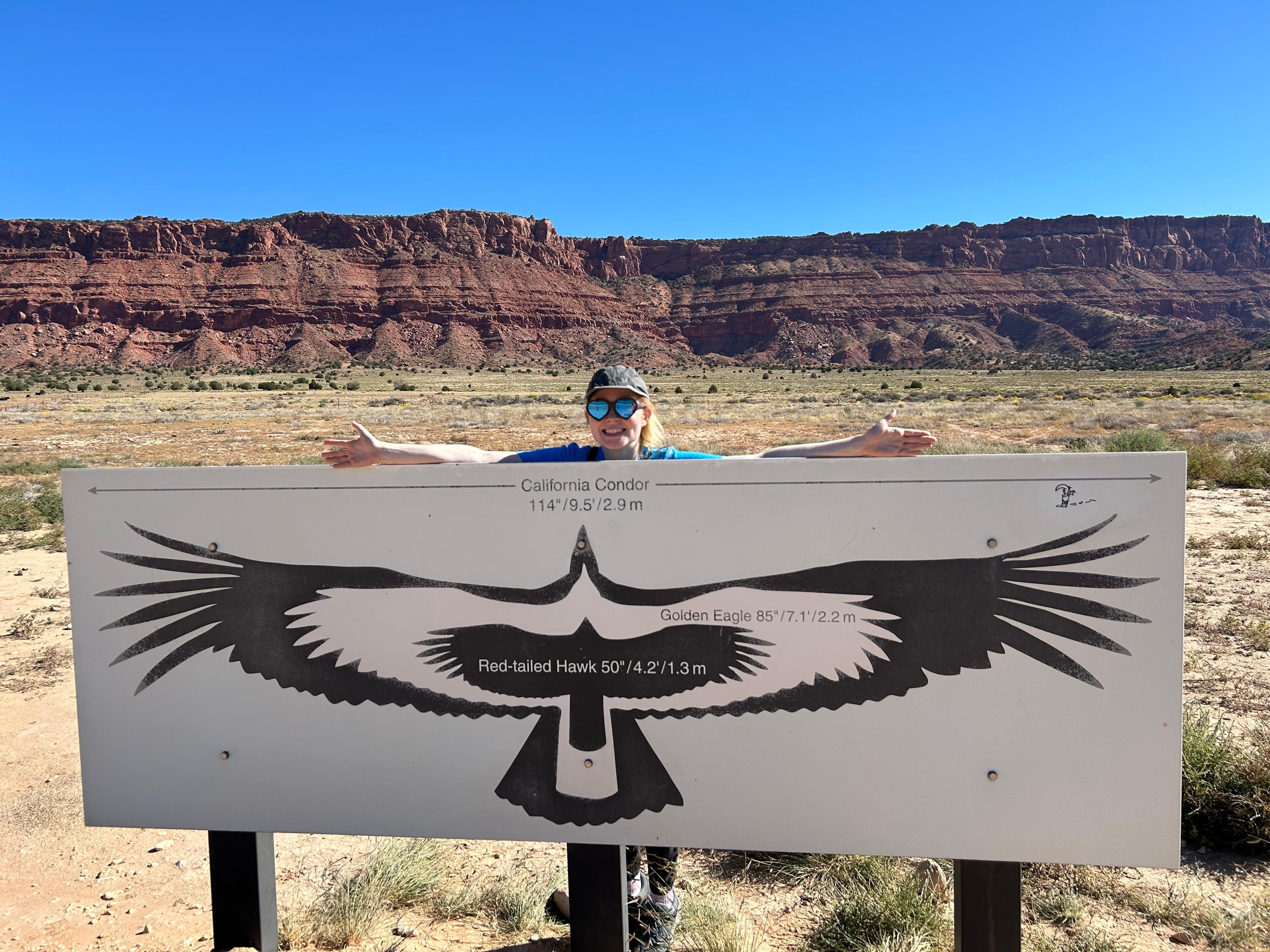 The California Condor viewing platform in nearby Vermillion Cliffs in Marble Canyon.