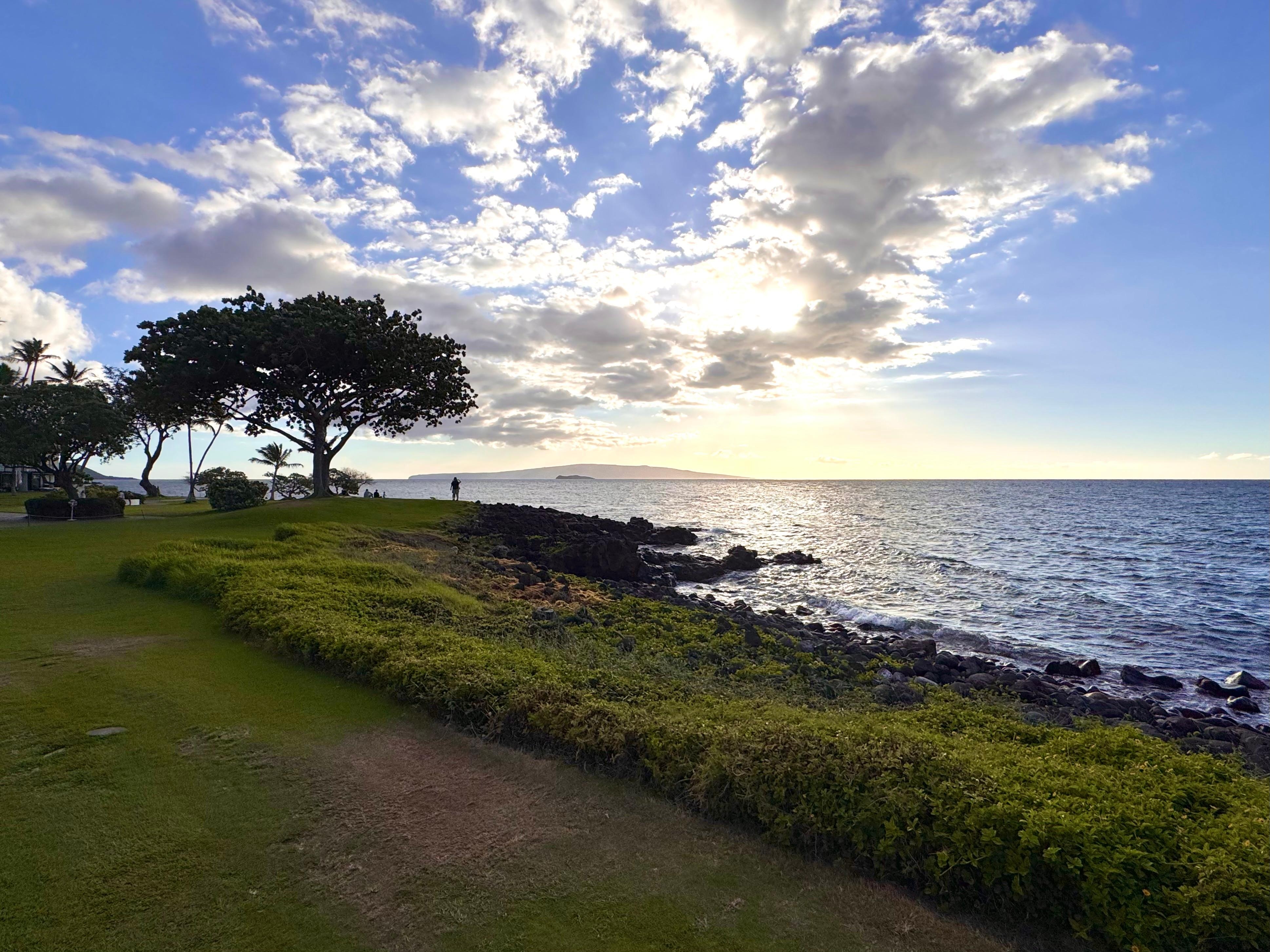 A wonderful beachfront walking path